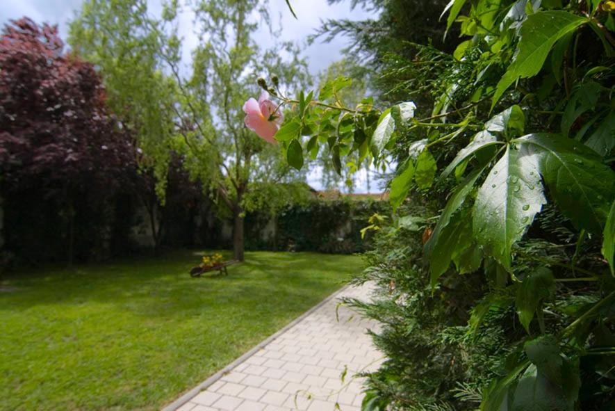 El Molino Villa Nieva  Dış mekan fotoğraf